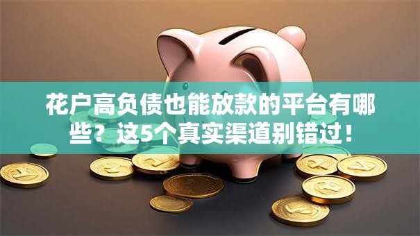 花户高负债也能放款的平台有哪些？这5个真实渠道别错过！