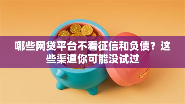 哪些网贷平台不看征信和负债？这些渠道你可能没试过