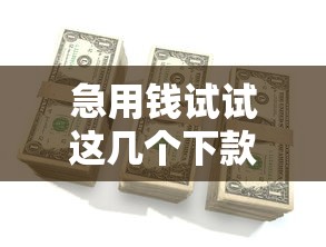 急用钱试试这几个下款快不看征信的口子，审核简单到账稳！
