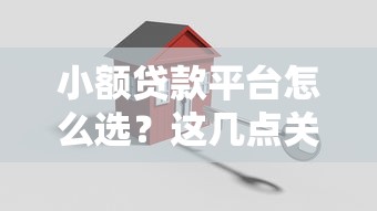 小额贷款平台怎么选？这几点关键攻略帮你避坑
