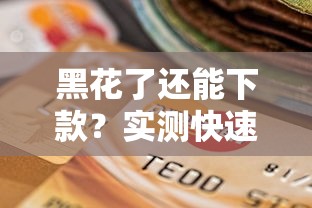 黑花了还能下款？实测快速秒批新口子推荐