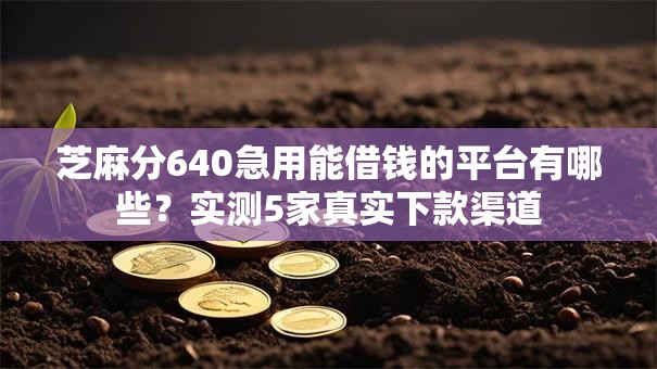 芝麻分640急用能借钱的平台有哪些？实测5家真实下款渠道