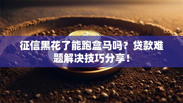 征信黑花了能跑盒马吗？贷款难题解决技巧分享！