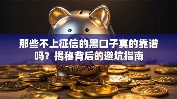 那些不上征信的黑口子真的靠谱吗？揭秘背后的避坑指南