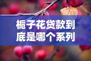 栀子花贷款到底是哪个系列的口子？产品特点全解析