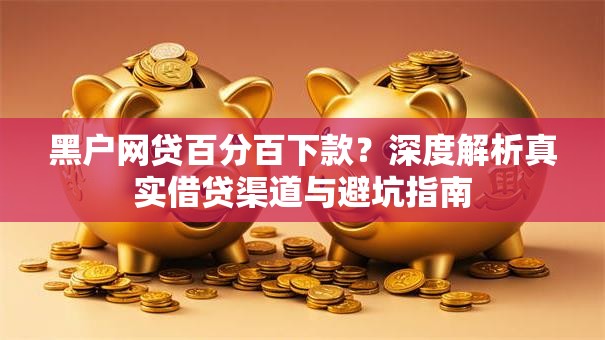 黑户网贷百分百下款？深度解析真实借贷渠道与避坑指南
