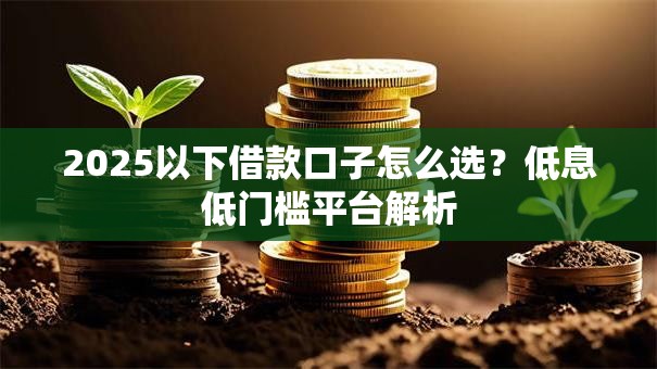2025以下借款口子怎么选？低息低门槛平台解析