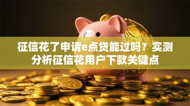征信花了申请e点贷能过吗？实测分析征信花用户下款关键点