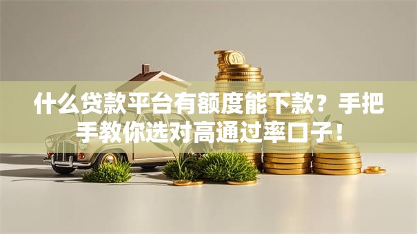 什么贷款平台有额度能下款？手把手教你选对高通过率口子！