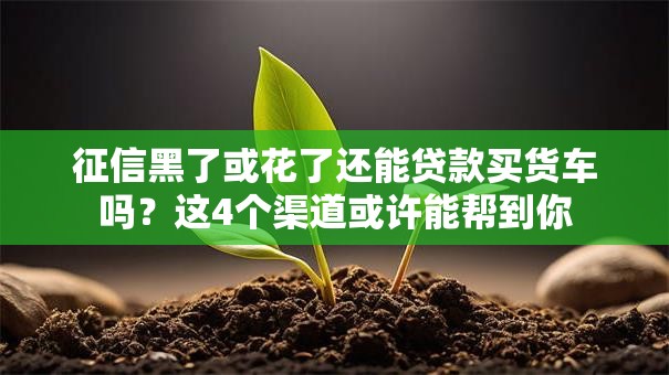 征信黑了或花了还能贷款买货车吗？这4个渠道或许能帮到你