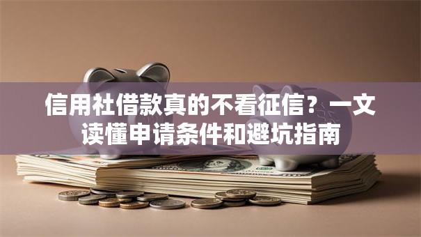 信用社借款真的不看征信？一文读懂申请条件和避坑指南