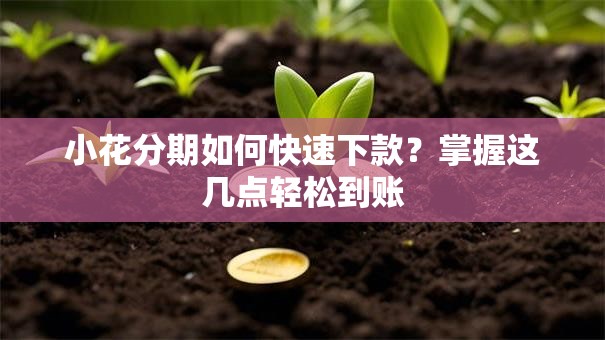 小花分期如何快速下款？掌握这几点轻松到账