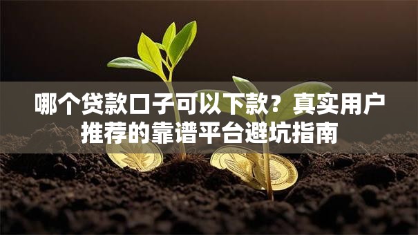 哪个贷款口子可以下款？真实用户推荐的靠谱平台避坑指南