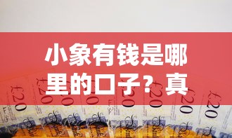 小象有钱是哪里的口子？真实背景解析+靠谱借款渠道推荐