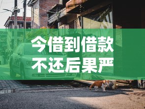 今借到借款不还后果严重吗？这三点后果要当心！