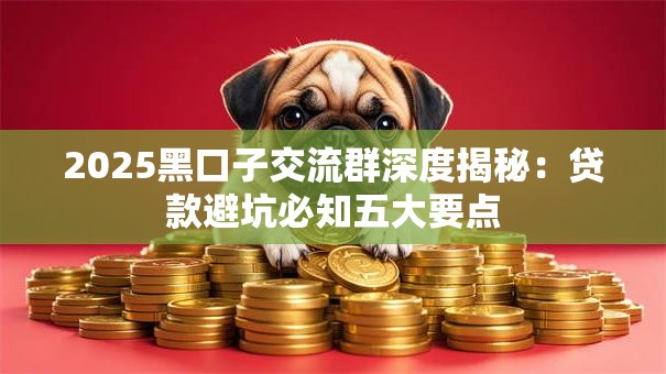 2025黑口子交流群深度揭秘：贷款避坑必知五大要点