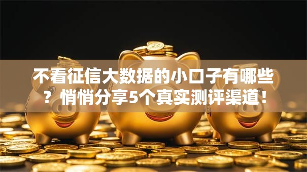 不看征信大数据的小口子有哪些？悄悄分享5个真实测评渠道！