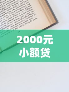 2000元小额贷款申请攻略：快速到账技巧分享