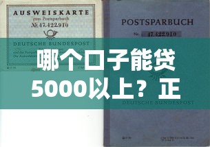 哪个口子能贷5000以上？正规平台选择攻略与避坑指南