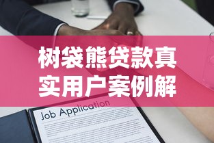 树袋熊贷款真实用户案例解析：申请成功的底层逻辑拆解