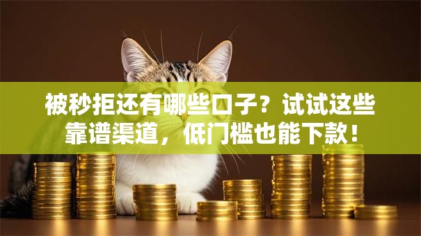 被秒拒还有哪些口子？试试这些靠谱渠道，低门槛也能下款！