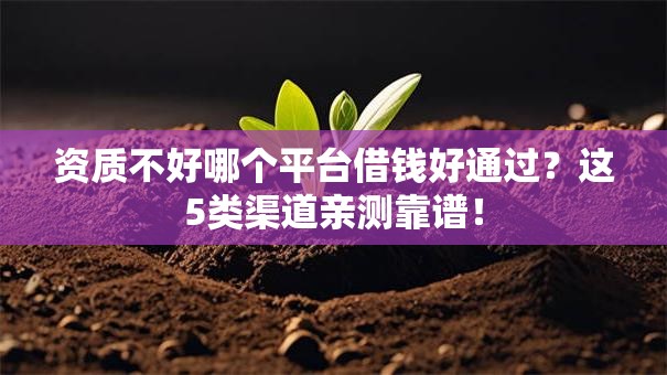 资质不好哪个平台借钱好通过？这5类渠道亲测靠谱！