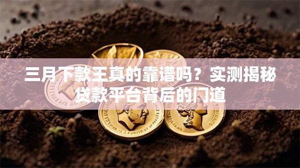 三月下款王真的靠谱吗？实测揭秘贷款平台背后的门道