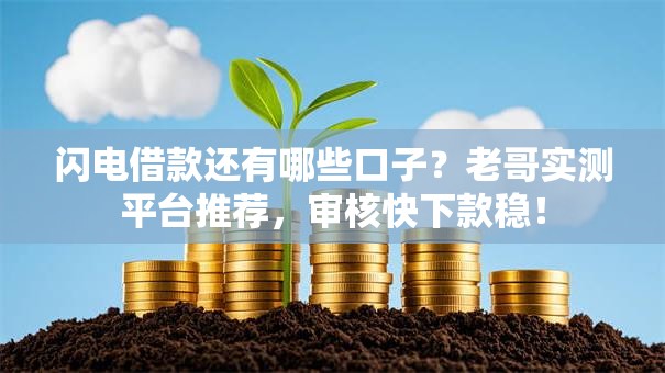 闪电借款还有哪些口子？老哥实测平台推荐，审核快下款稳！