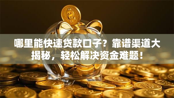 哪里能快速贷款口子？靠谱渠道大揭秘，轻松解决资金难题！