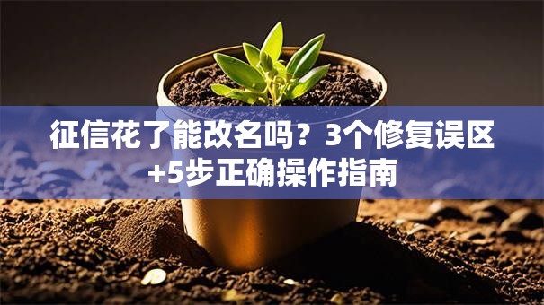 征信花了能改名吗？3个修复误区+5步正确操作指南