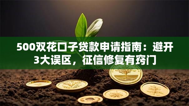 500双花口子贷款申请指南：避开3大误区，征信修复有窍门