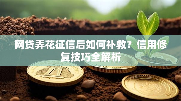 网贷弄花征信后如何补救？信用修复技巧全解析