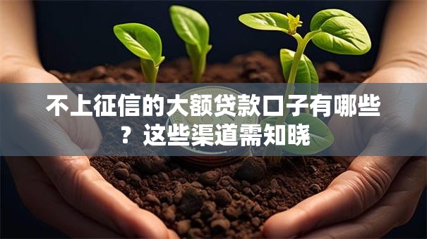 不上征信的大额贷款口子有哪些？这些渠道需知晓