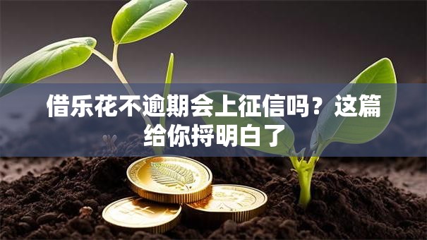 借乐花不逾期会上征信吗？这篇给你捋明白了