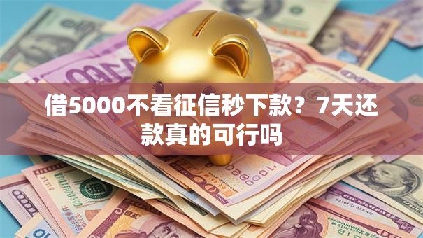 借5000不看征信秒下款？7天还款真的可行吗