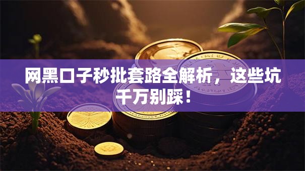 网黑口子秒批套路全解析，这些坑千万别踩！