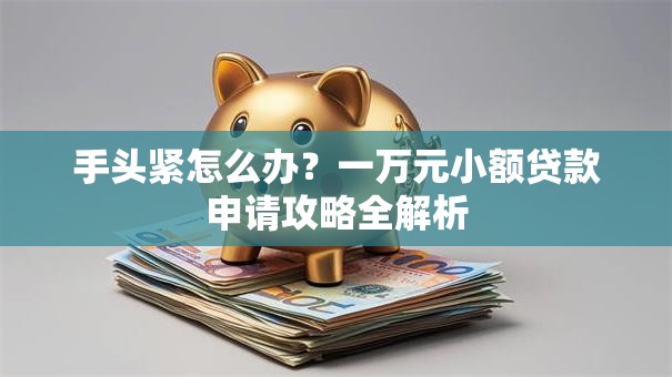 手头紧怎么办？一万元小额贷款申请攻略全解析