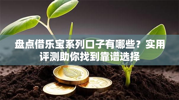 盘点借乐宝系列口子有哪些？实用评测助你找到靠谱选择