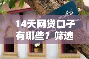14天网贷口子有哪些？筛选技巧+避坑指南全解析
