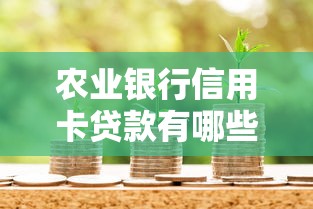 农业银行信用卡贷款有哪些？这几款产品值得优先考虑