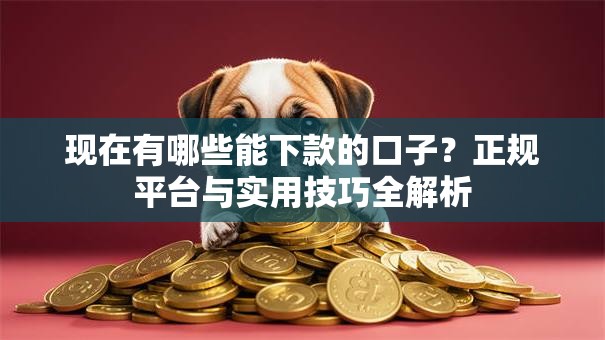现在有哪些能下款的口子？正规平台与实用技巧全解析