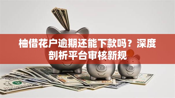 柚借花户逾期还能下款吗？深度剖析平台审核新规
