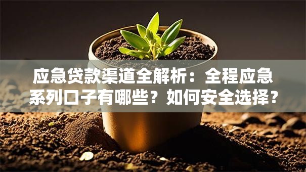 应急贷款渠道全解析：全程应急系列口子有哪些？如何安全选择？