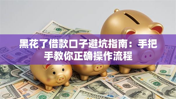 黑花了借款口子避坑指南：手把手教你正确操作流程