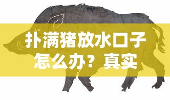 扑满猪放水口子怎么办？真实解决技巧与避坑指南