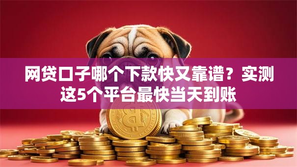 网贷口子哪个下款快又靠谱？实测这5个平台最快当天到账