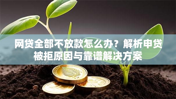 网贷全部不放款怎么办？解析申贷被拒原因与靠谱解决方案