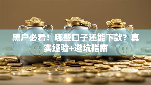 黑户必看！哪些口子还能下款？真实经验+避坑指南