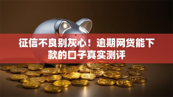 征信不良别灰心！逾期网贷能下款的口子真实测评