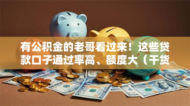 有公积金的老哥看过来！这些贷款口子通过率高、额度大（干货分享）